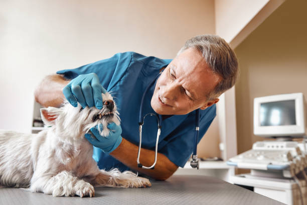 Best Emergency Denture Repair in Half Moon Bay, CA